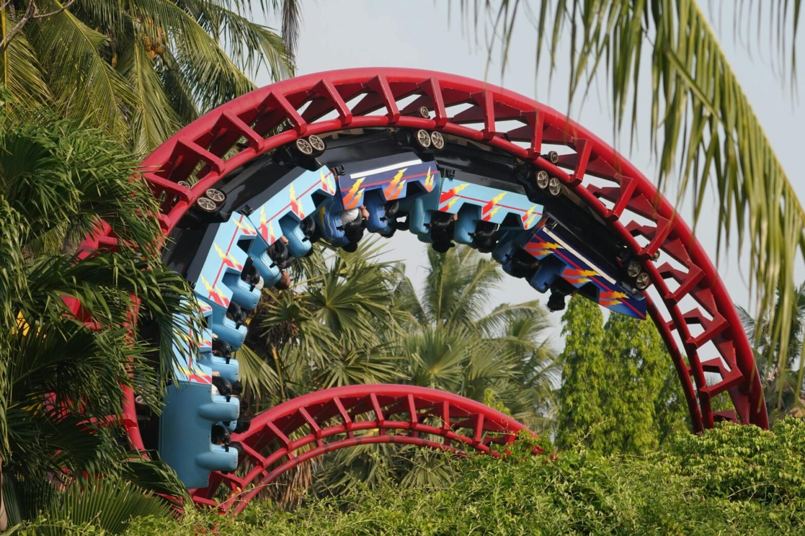 thrilling looping roller coaster in tropical setting